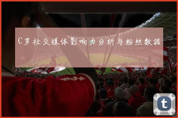 C罗社交媒体影响力分析与粉丝数据
