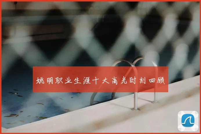 姚明职业生涯十大高光时刻回顾