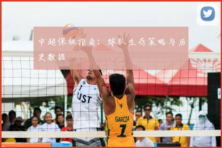 中超保级指南:球队生存策略与历史数据