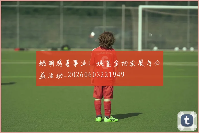 姚明慈善事业:姚基金的发展与公益活动_20260603221949